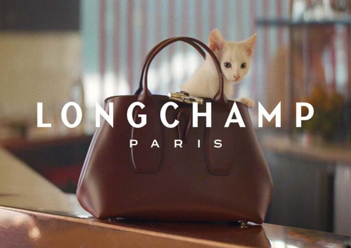 sac à main Longchamp