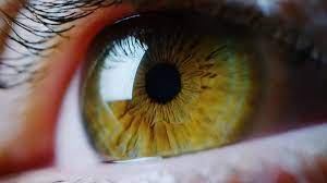 iridologie pupille